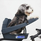 Buddyrider, Cykelsæde til hunde