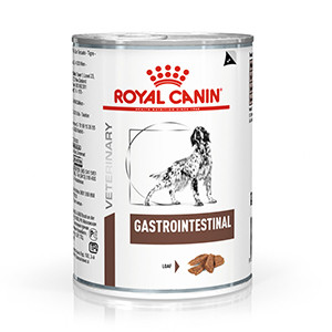 Royal Canin Gastro Intestinal hund á 400 g 